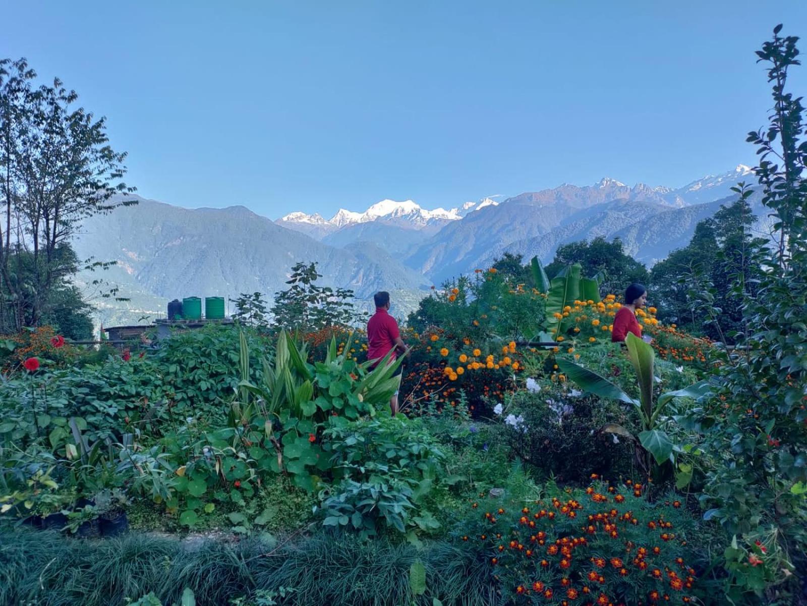 Lodge Ifseen Pelling